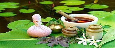 Read more about the article Ayurveda.. The healing science